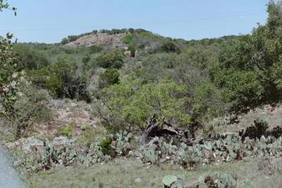 TEXAS RESTSTOP HILLS & CACTUS.JPG